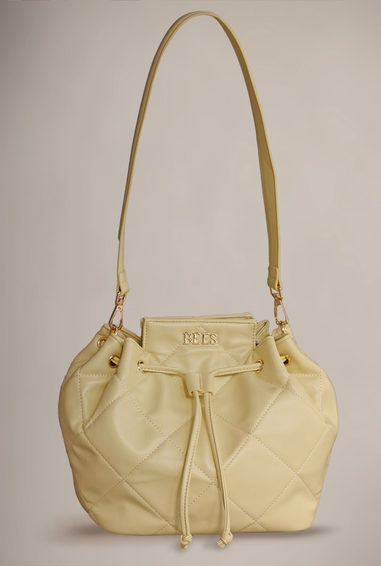 Santa Monica Bag